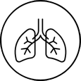 <a href="https://alerjisaglikmed.com/feno-testi/">Solunum Yolu Testi</a>